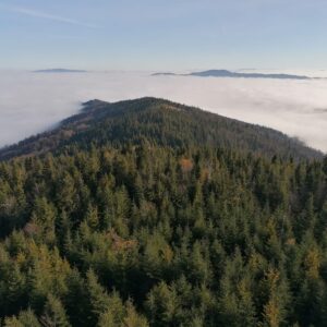 WARSZTATY CERAMICZNE I WYCIECZKA NA GORC 28.03