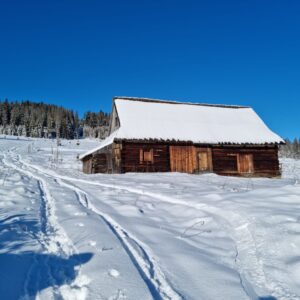 WARSZTATY CERAMICZNE I WYCIECZKA NA MAGURE WITOWSKĄ 14.03